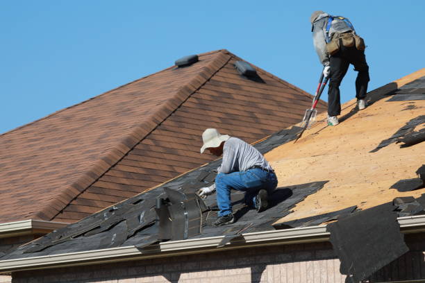 Best Roof Insulation Installation  in Belhaven, NC