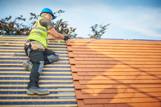 Best Roof Inspection  in Belhaven, NC